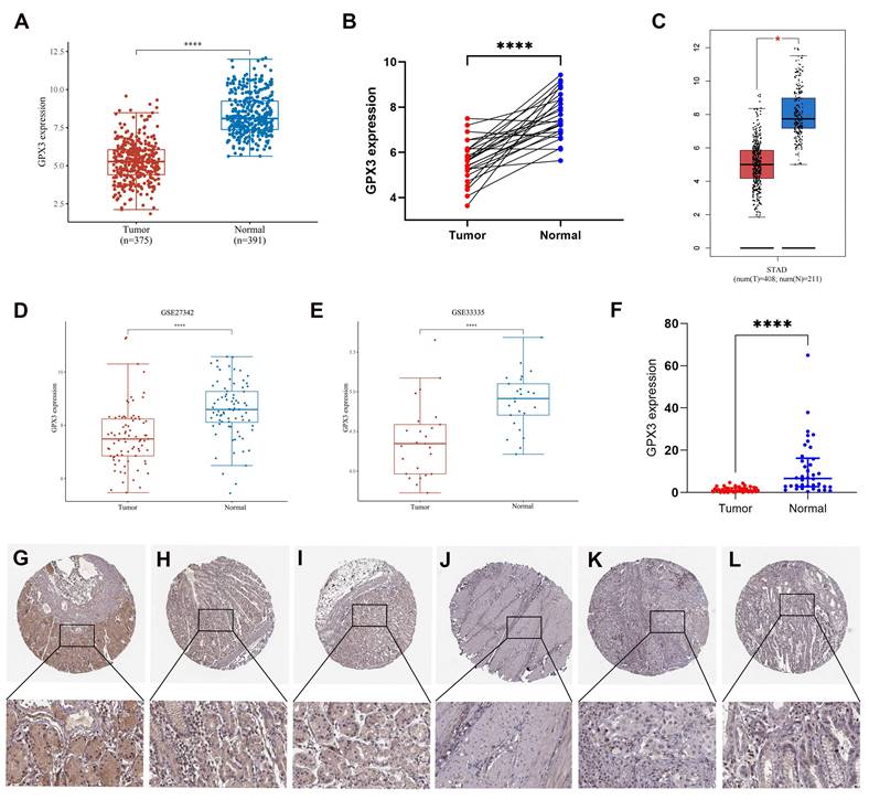 Int J Med Sci Image