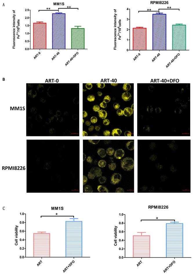 Int J Med Sci Image