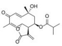 Int J Med Sci inline graphic