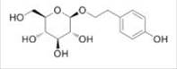 Int J Med Sci inline graphic