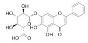 Int J Med Sci inline graphic