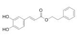 Int J Med Sci inline graphic