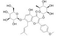 Int J Med Sci inline graphic