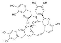 Int J Med Sci inline graphic