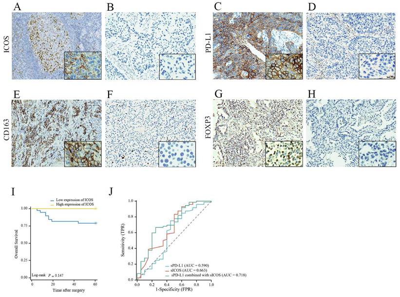 Int J Med Sci Image