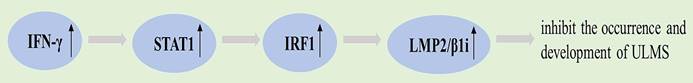 Int J Med Sci Image