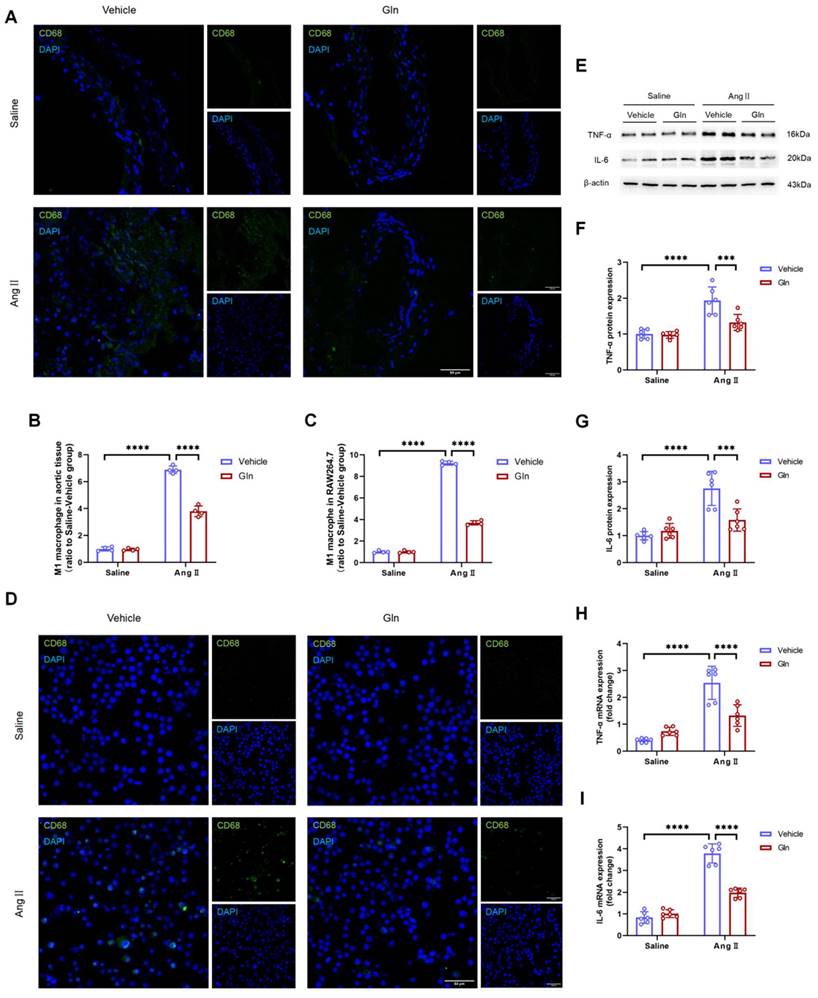 Int J Med Sci Image