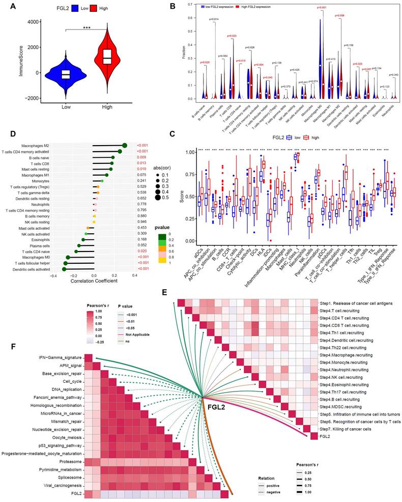 Int J Med Sci Image