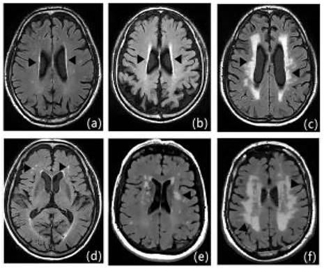 Int J Med Sci Image