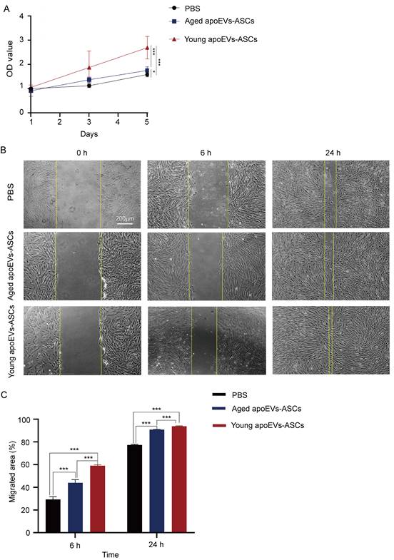Int J Med Sci Image