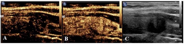 Int J Med Sci Image