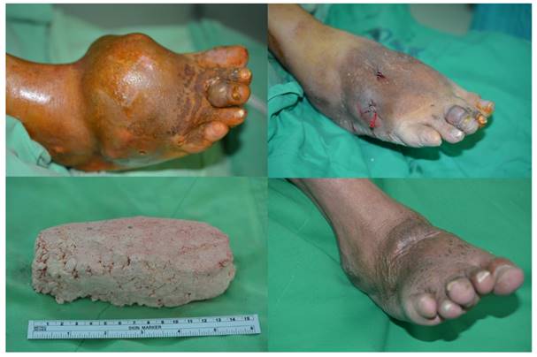Int J Med Sci Image