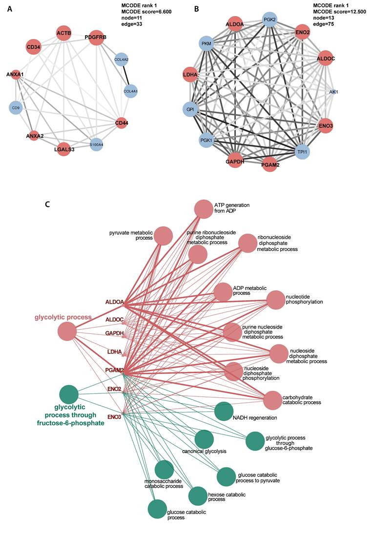 Int J Med Sci Image