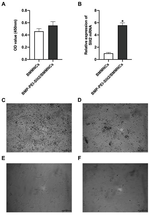 Int J Med Sci Image