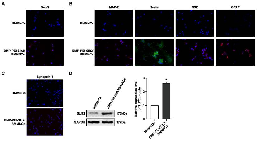 Int J Med Sci Image