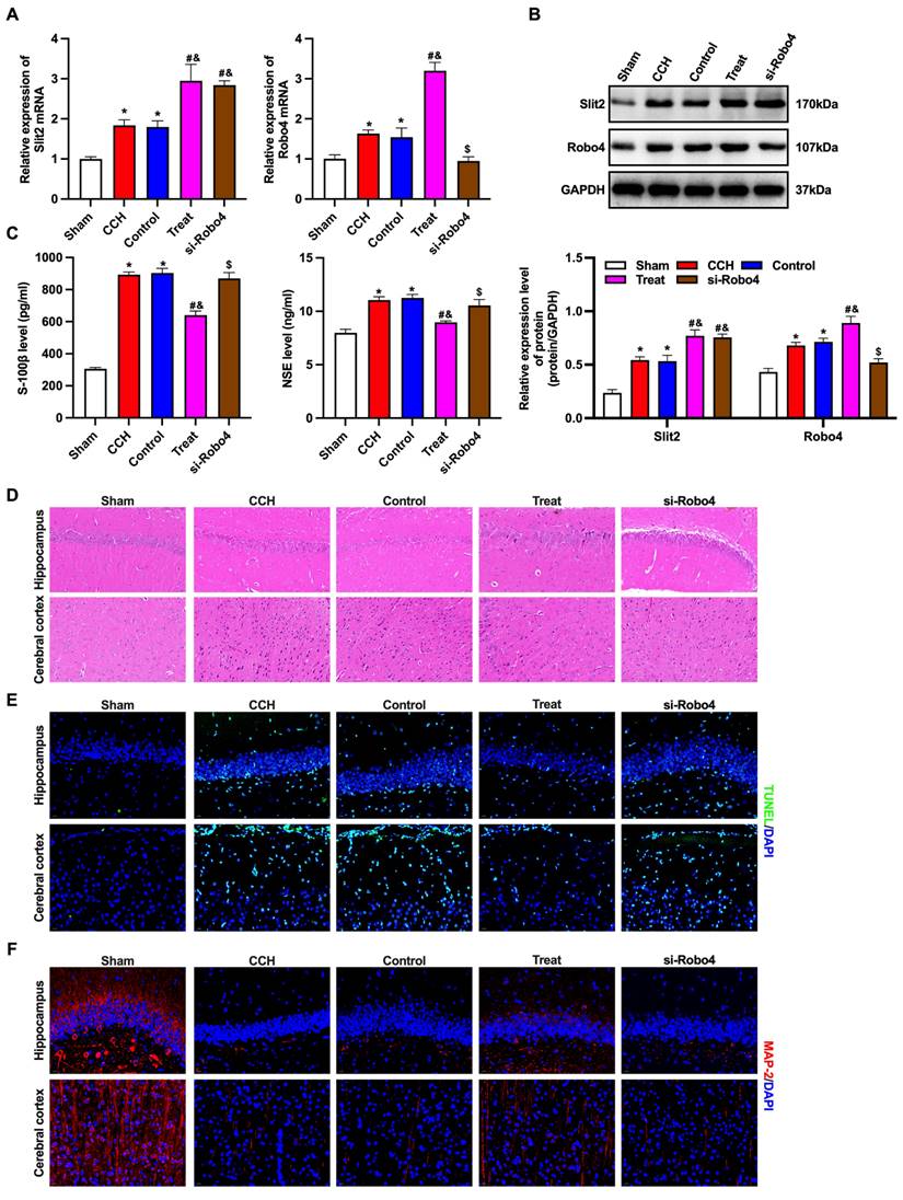 Int J Med Sci Image