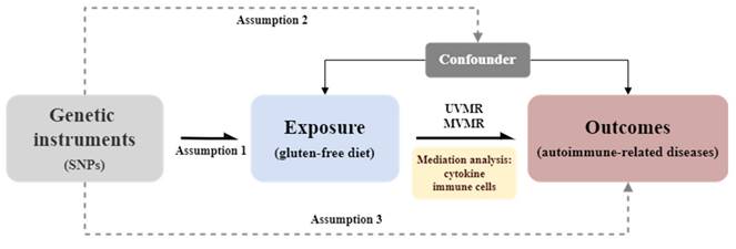 Int J Med Sci Image
