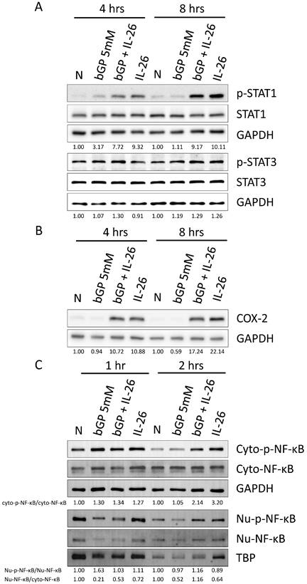 Int J Med Sci Image