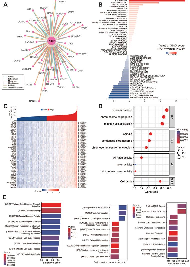 Int J Med Sci Image