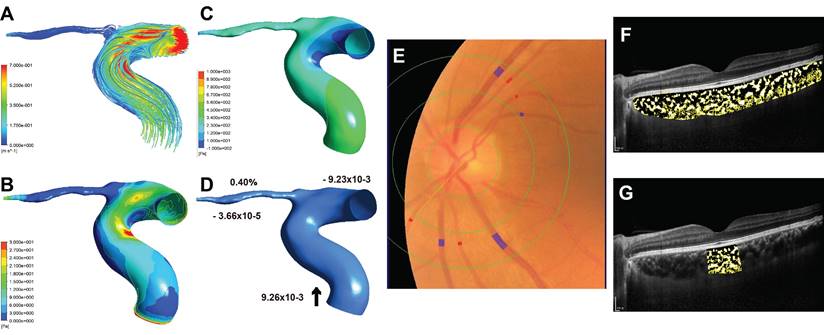 Int J Med Sci Image