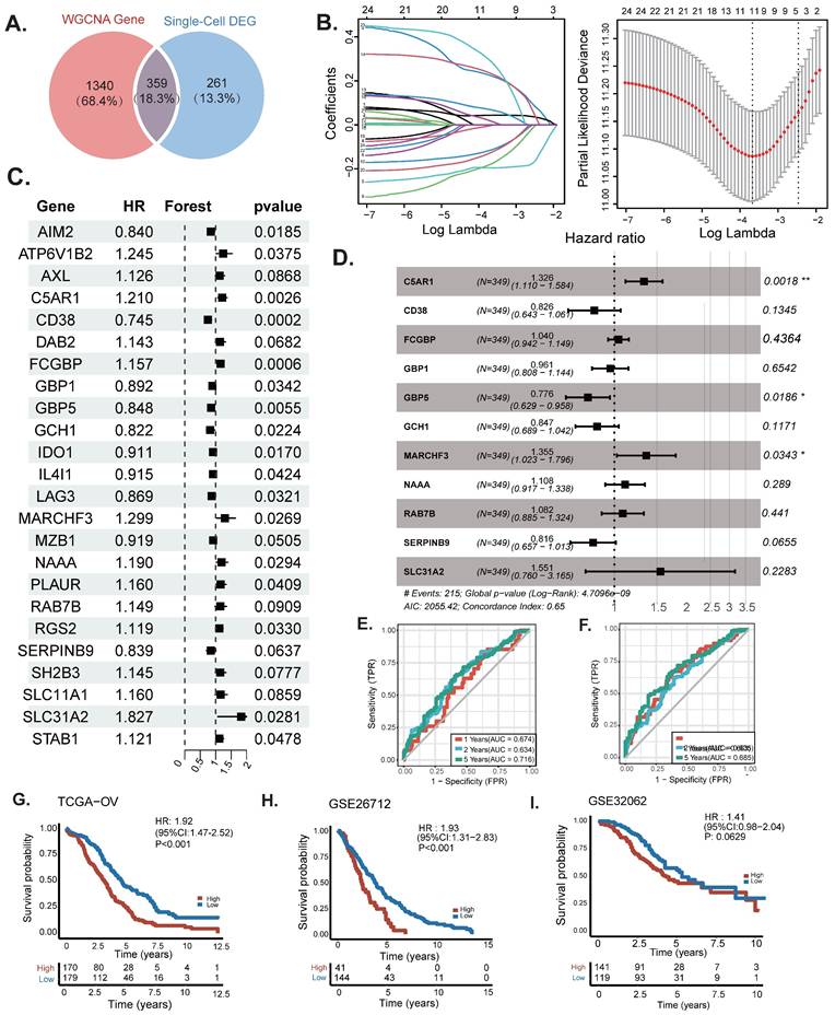 Int J Med Sci Image