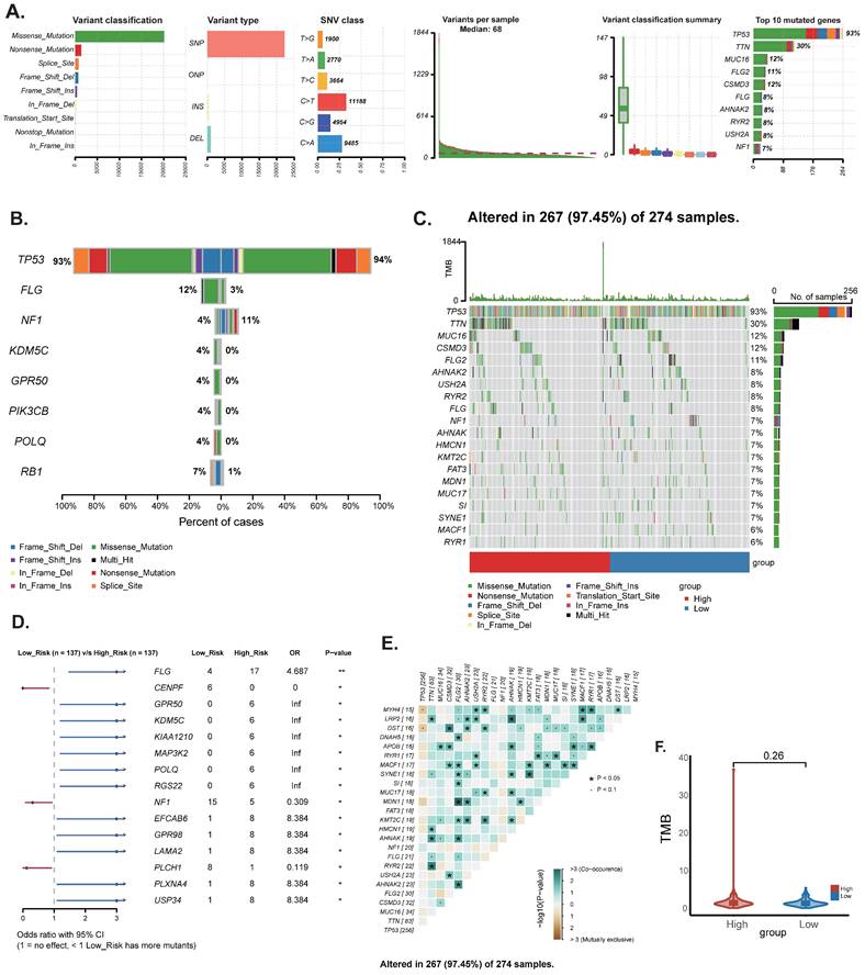 Int J Med Sci Image