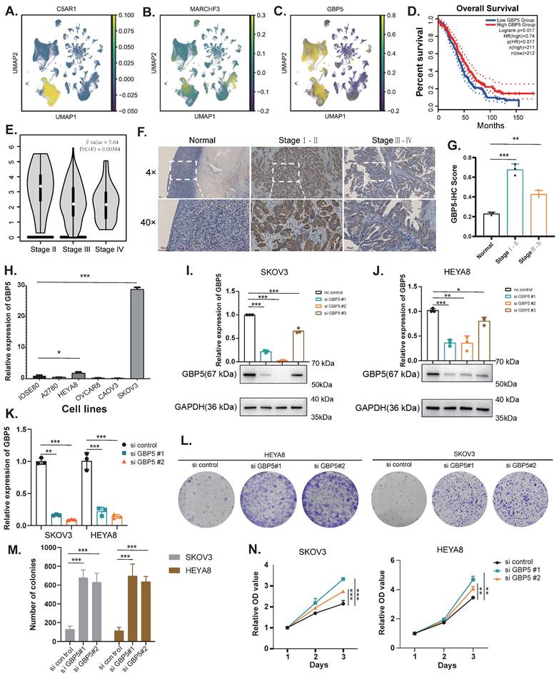 Int J Med Sci Image