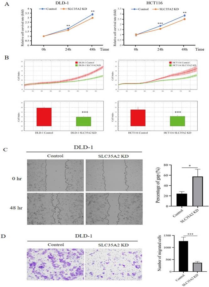 Int J Med Sci Image