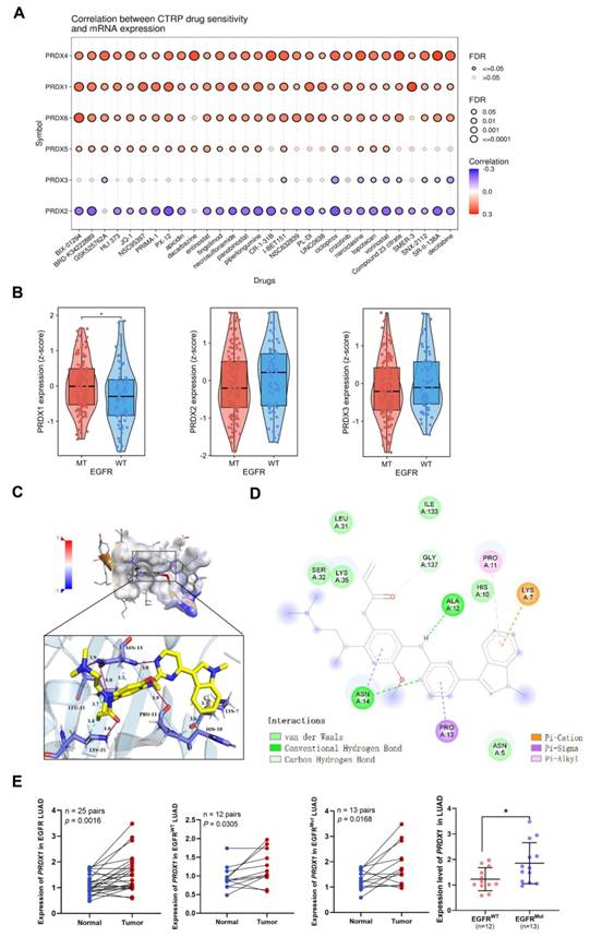 Int J Med Sci Image