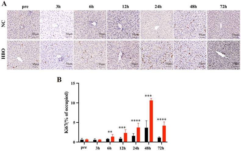 Int J Med Sci Image
