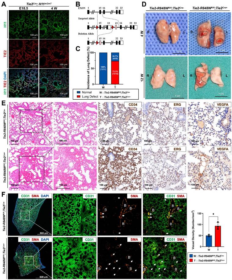 Int J Med Sci Image