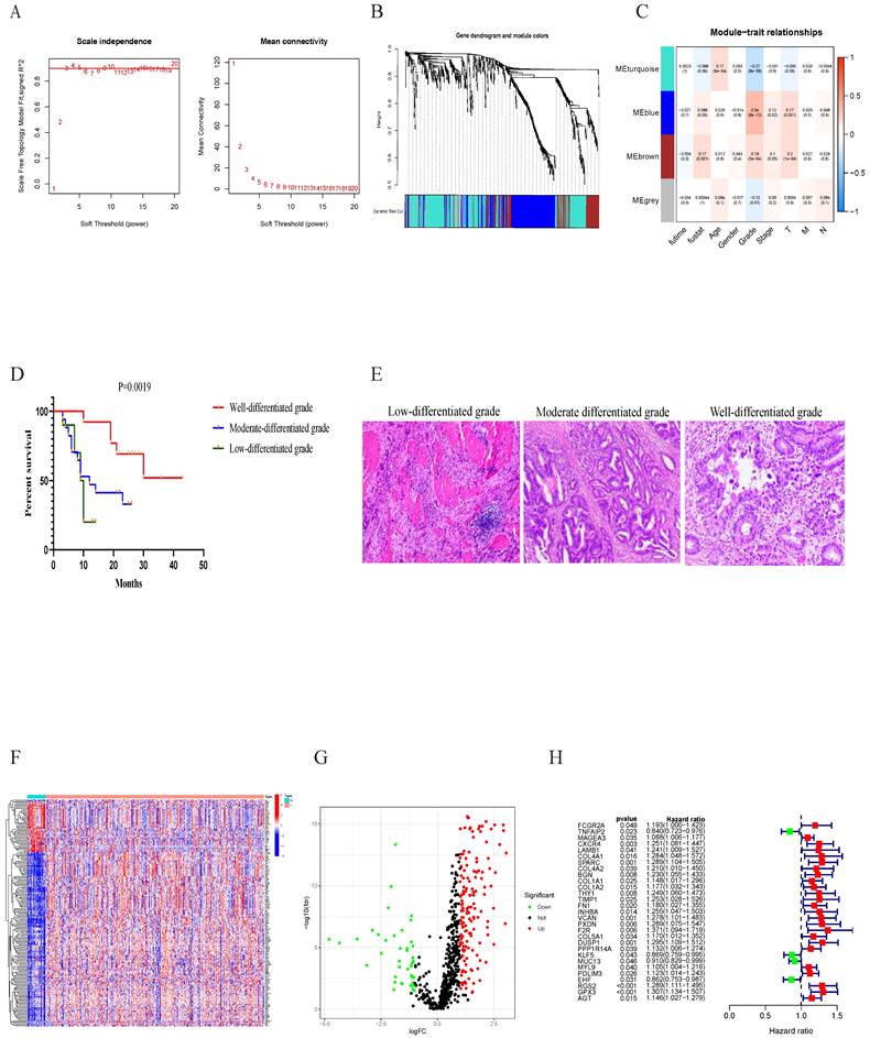 Int J Med Sci Image