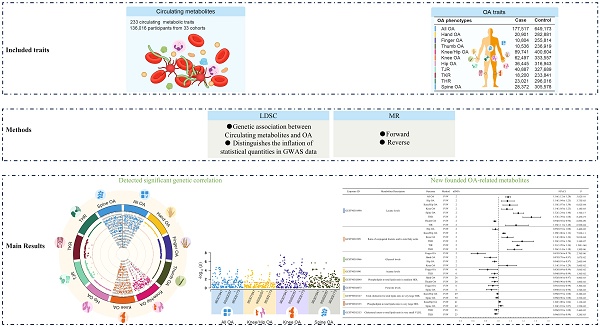 Deciphering the Relationship Between Circulating Metabolites and ...