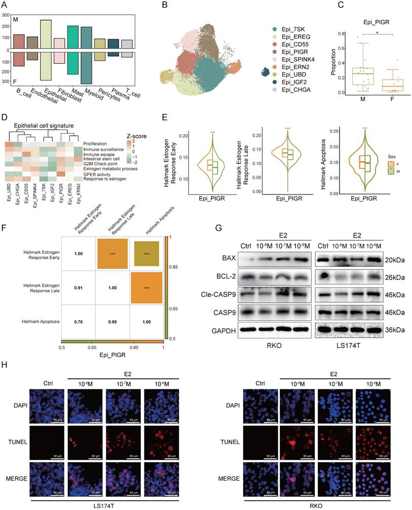 Int J Med Sci Image
