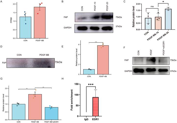 Int J Med Sci Image