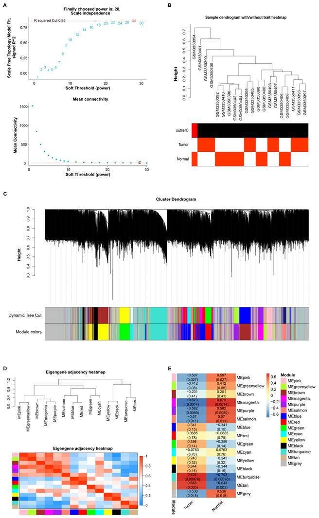 Int J Med Sci Image