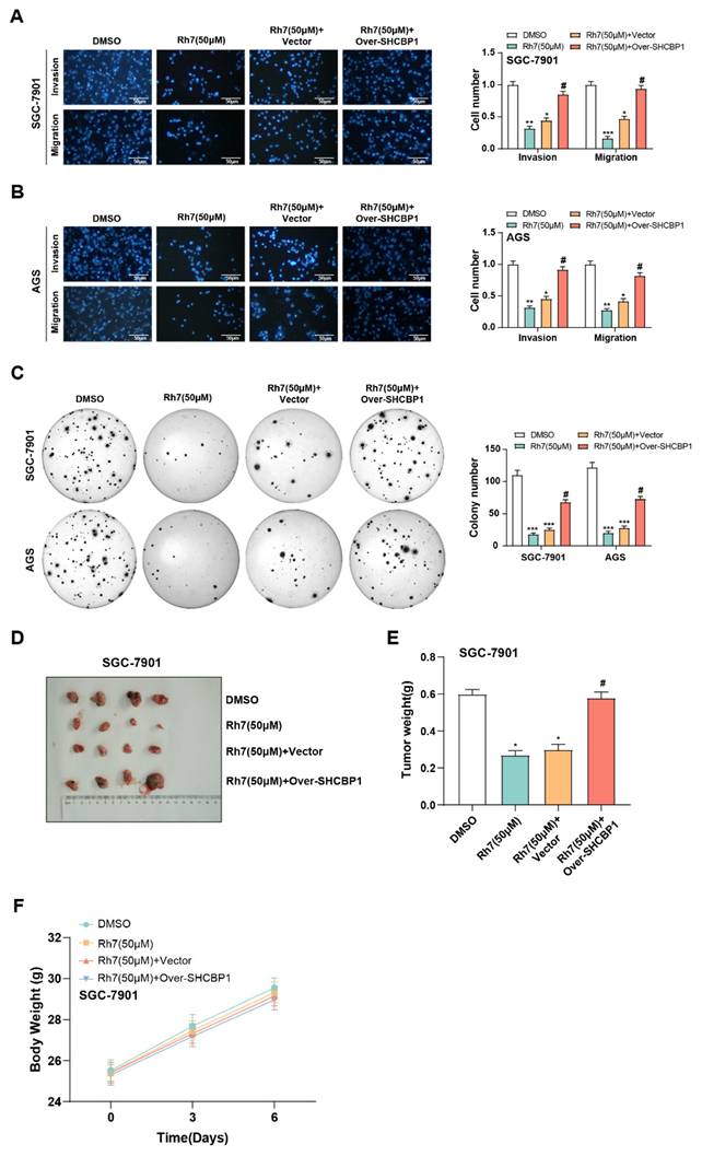 Int J Med Sci Image