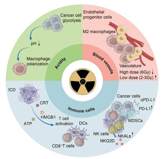 Int J Med Sci Image