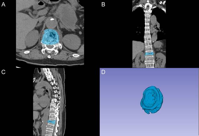 Int J Med Sci Image