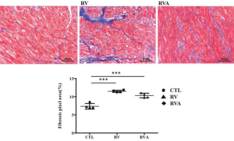 Int J Med Sci Image