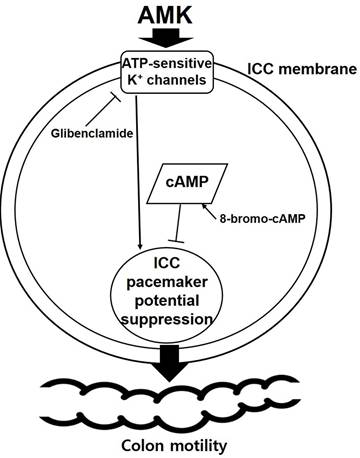 Int J Med Sci Image