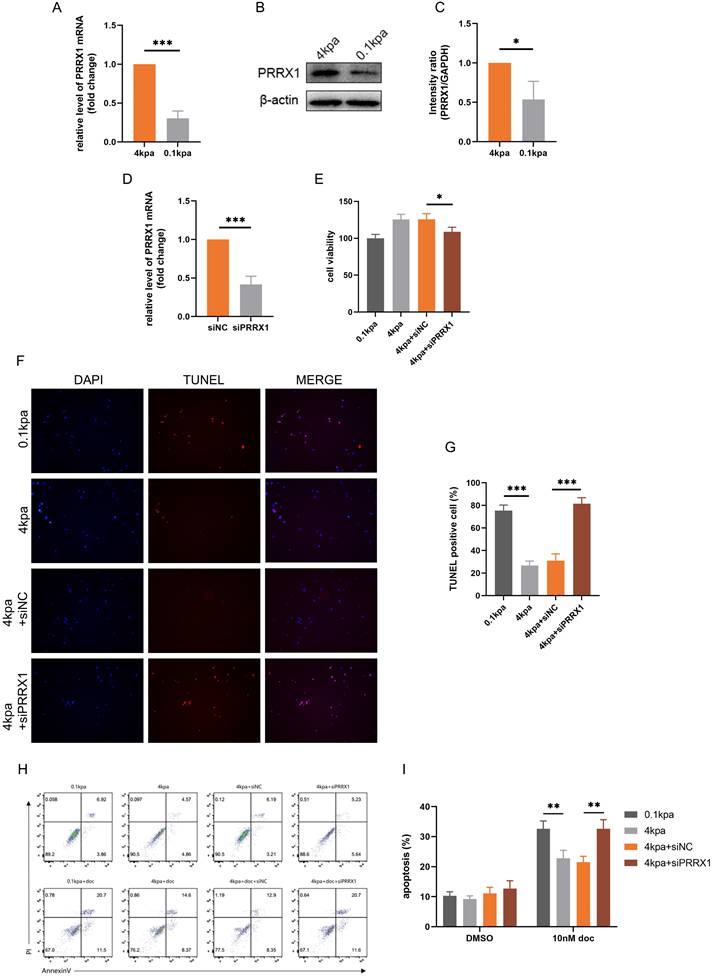 Int J Med Sci Image