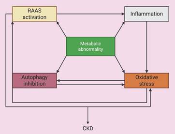 Int J Med Sci Image