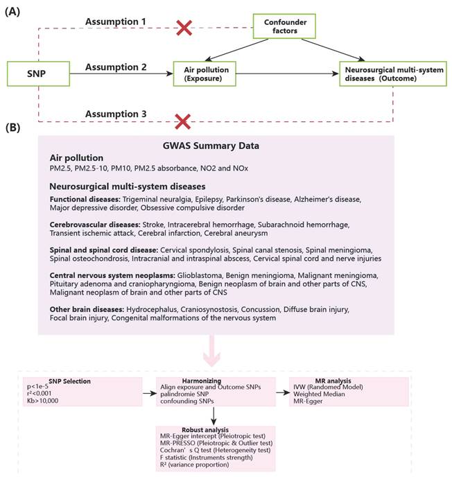 Int J Med Sci Image