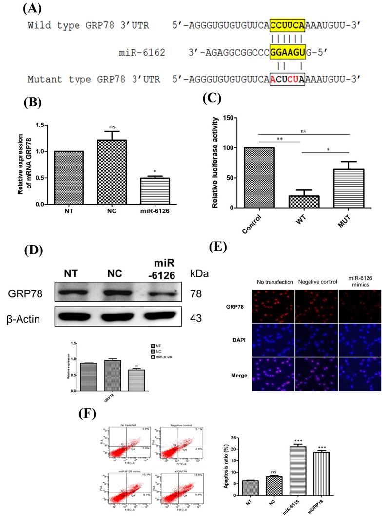Int J Med Sci Image