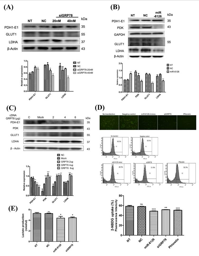 Int J Med Sci Image