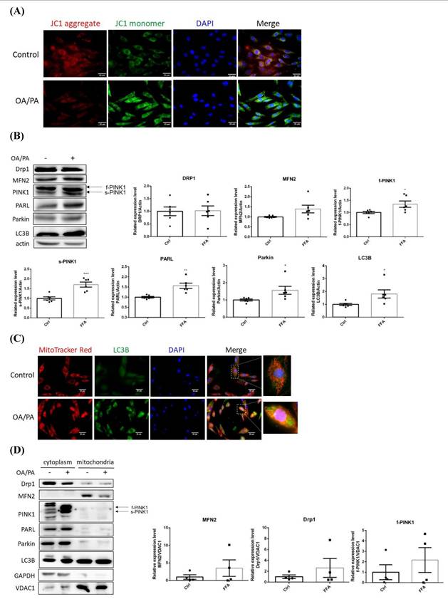 Int J Med Sci Image
