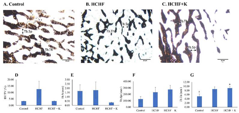 Int J Med Sci Image