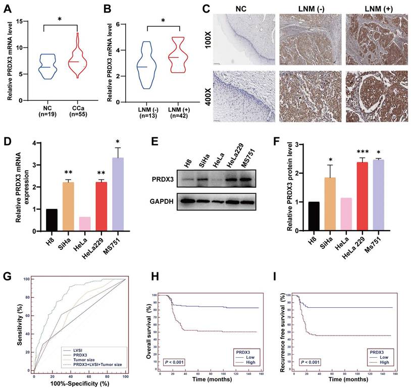 Int J Med Sci Image
