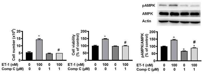 Int J Med Sci Image